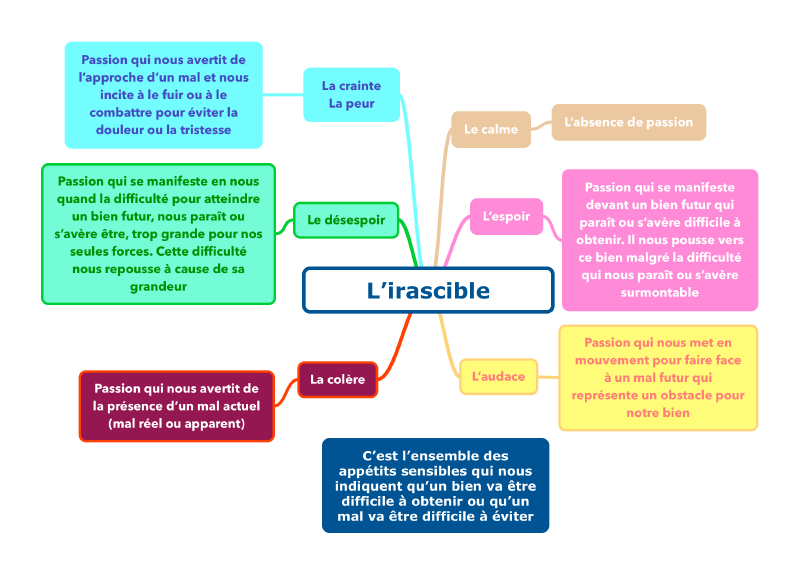 L&rsquo;irascible